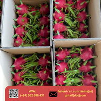 Nieuwe oogst 2024 Verse Dragon Fruit Wit Roze Vlees Graad A Sunrise Merk 9kg Netto met Competitieve Prijs