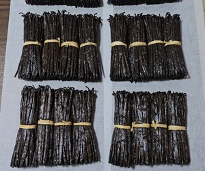 Pompona de vanille de qualité supérieure, 22-25 cm, Mexique, XXL, 1 kg, avec une durée de conservation de 3 ans, pour la vente à l'exportation - Product Image 4