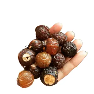 Viet Nam Dried Whole Soapnut Soap Nut Soap Berry Material For Making Soap Eco Friendly Akina