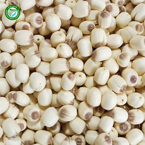 Graines de lotus blanc bio de haute qualité, fraîches et pures pour des bienfaits culinaires et sanitaires Type de fleurs séchées Type de plantation - Product Image 3