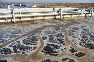 Traitement de l'ammoniac dans les effluents d'eaux usées à l'aide de Cleanmaxx An - Product Image 3