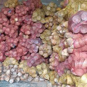 กะลามะพร้าวธรรมชาติดิบสำหรับงานศิลปะตกแต่งและถ่าน - Product Image 5