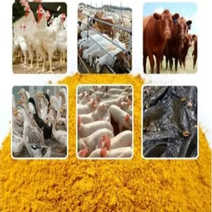 Aves de Corral Alimentación para ganado Comida de gluten de maíz Comida de gluten de arroz 50gK Suplemento para ganado porcino Harina de soja Harina de pescado para animales Caballo - Product Image 3