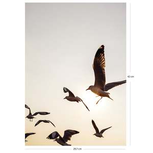 Modern Style Seagulls Art Print DIN <b>A3</b> <b>Paper</b> Design - Product Image 4