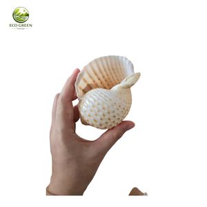 Coquille de thon tachetée naturelle, écologique, polie à la main, décoration d'intérieur, souvenirs de plage, pour collectionneurs, OEM - Product Image 2