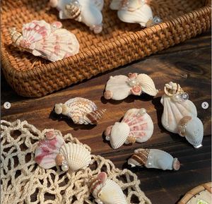 Moda Natural Seashell Hair Stick Estilo moderno Mujeres/Beach Hair Stick de Vietnam - Product Image 1