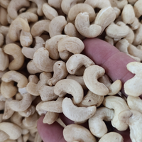 Anacardos Crudos Kaju Badam SANTIGO Directo de Fábrica, Envío GRATIS, Anacardos de Todos los Tamaños, SIN Impuestos, Origen Vietnam