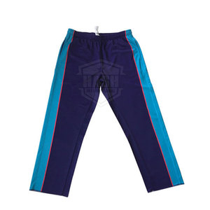 Top Quality Custom New Design Men's Blue Sports Sweatpants With Turquoise Side Stripes Elastic Waist Casual Wear Autumn Style - Product Image 1