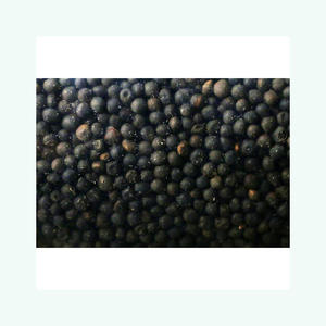 Clean vetch <b>seeds</b> <b>packed</b> for export to international farming and <b>seed</b> markets - Product Image 4