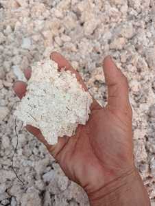 Approvisionnement en vrac de pulpe de manioc séchée pour l'alimentation animale, adapté aux usines d'aliments pour animaux et aux marchés d'exportation - Product Image 1