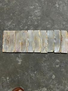 Escamas y Placas de Cuerno de Oveja Ram de Primera Calidad, Tacto Real, Forma Personalizada, Técnica Cruda, 110% Color Natural - Product Image 4