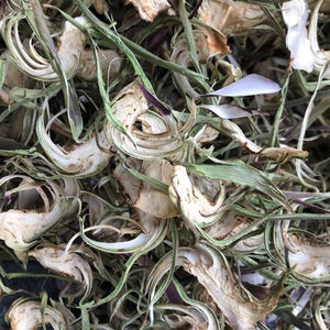 Flores de alcachofa secas aromáticas de Vietnam para colecciones de té caseras, cestas de regalo con piezas florales seleccionadas a mano de primera calidad - Product Image 2