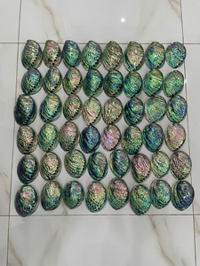 Auténtica concha de abulón natural de Vietnam, pulida y con un acabado suave, excelente para los mercados de exportación - Product Image 6