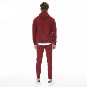 Vente en gros de sweats à capuche imprimés avec logo personnalisé pour hommes, survêtement respirant à fermeture éclair pour sports d'hiver, ensembles de style - Product Image 4