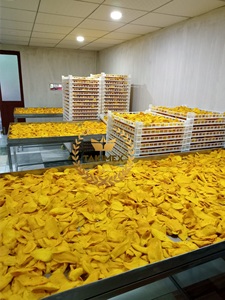 Mangue séchée biologique 1 kg, douce et acidulée, collation de fruits conservés, emballage en vrac, Takimex, directement de l'usine du Vietnam - Product Image 4