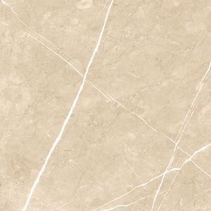 Explorez des finitions polyvalentes dans les carreaux en porcelaine de 600x600 mm en provenance d'Inde, qualité intemporelle avec des finitions modernes et haut de gamme en marbre. - Product Image 5