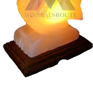 Lampe en sel rose de l'Himalaya de haute qualité 2025, forme naturelle durable, sculptée, imitation antique, décoration d'intérieur, OEM/ODM disponible - Product Image 5