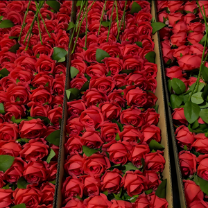 زهور ورد صناعية فردية عالية الجودة بالجملة، مصنوعة من القطيفة الحمراء الحريرية تبدو حقيقية لتزيين المنازل وحفلات الزفاف - Product Image 6