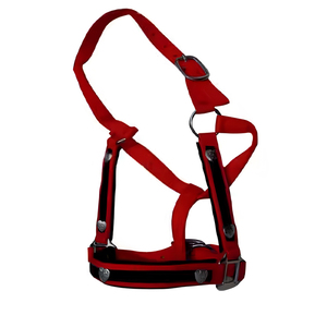 Brida inglesa de nailon artesanal de primera calidad, accesorios de entrenamiento occidentales cómodos y elegantes, cabestros diarios acolchados suaves ajustables - Product Image 1