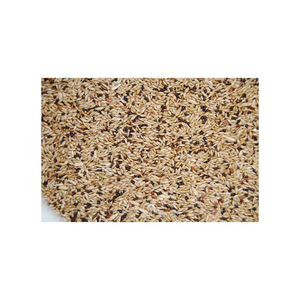 Alpiste al por mayor stock a granel para supermercados y distribuidores - Product Image 4