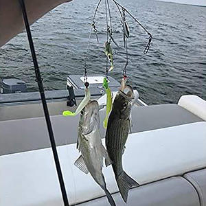 Nieuwe 5 Armen <span class=keywords><strong>Alabama</strong></span> Paraplu <span class=keywords><strong>Rig</strong></span> Visaas 21,5 Cm 17G Aas Rigs Met Ton Wartels Voor Basaas - Product Image 6