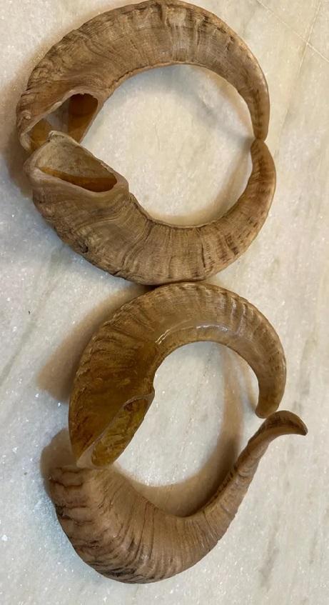 สีธรรมชาติ