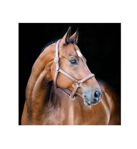 Licol de cheval de style selle anglaise réglable en cuir véritable avec quincaillerie en acier inoxydable - Product Image 2