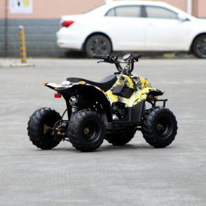 <span class=keywords><strong>Quad</strong></span> à quatre roues <span class=keywords><strong>pas</strong></span> <span class=keywords><strong>cher</strong></span> de 110 cm3 à démarrage électrique, à transmission par chaîne, fabriqué en Chine, à vendre - Product Image 5