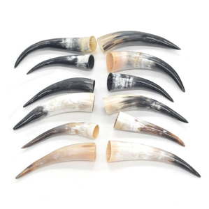 Cuernos de vaca-Pedidos al por mayor y a granel disponibles - Product Image 4