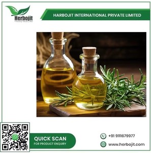 Meilleures ventes d'huile essentielle de romarin biologique pour la relaxation du cuir chevelu et le soulagement de la douleur et le parfum de maison du fournisseur indien - Product Image 6