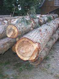 ล็อกเฮมล็อคแบบพรีเมี่ยมล็อกล็อกล็อกเฮมล็อคคุณภาพสูง - Product Image 2