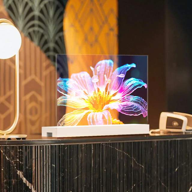 55 Inch 2K OLED Transparent Display Monitor Indoor with Touch Options for Animated Content