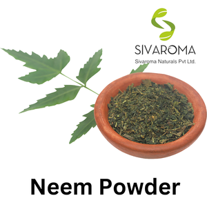 Top Quality Natural Pure Neem Extract Powder for Cosmetics <b>Applications</b> Hot Sale Neem Powder Supplier and Exporter From India - Product Image 5
