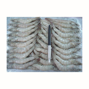 Camarones Vannamei congelados sin cabeza y con cáscara para exportación - Product Image 2
