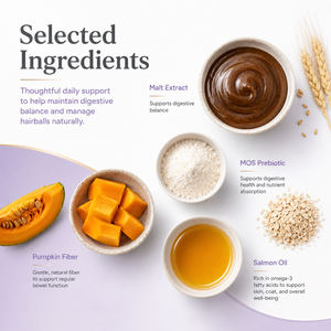 Pâte Premium Contre les Boules <span class=keywords><strong>de</strong></span> Poils pour Chats 100g - Extrait <span class=keywords><strong>de</strong></span> <span class=keywords><strong>Malt</strong></span> & Huile <span class=keywords><strong>de</strong></span> Saumon pour la Santé Digestive et le Contrôle des Boules <span class=keywords><strong>de</strong></span> Poils - Product Image 4