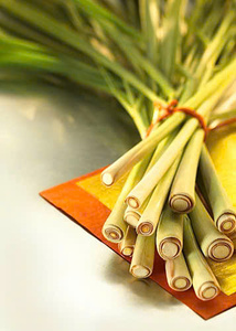 Hojas de limoncillo crudo seco de grado exportación, en rodajas, para té de hierbas Cymbopogon - Product Image 3