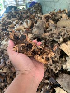 Decoración interior o exterior para acuario, madera de roca de la mejor calidad, venta al por mayor - Product Image 5