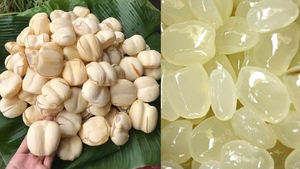 Boisson au Nectar de Palme Naturel avec Délicieux Garniture de Fruits de Palme Boisson Rafraîchissante et Saine en Bouteille - Product Image 4