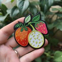 Aangepaste Decoratieve Plak Watermeloen Fruit Borduurpatches