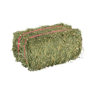 Granulés de foin de luzerne et balles de foin de Timothy pour l'alimentation de cheval, de bétail et de porc - Product Image 4