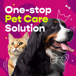 Champú Natural Aniclean para Gatos, el Más Vendido, Higiene Eficaz para el Cuidado de Gatos y Perros, Fabricado en Malasia para Mascotas - Product Image 2