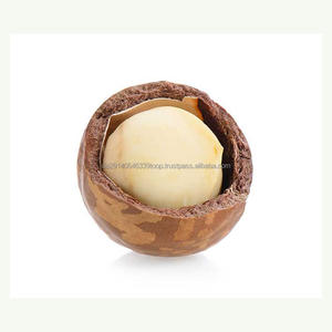 Nuez de Macadamia tamaño grande fábrica cosecha nueva calidad al por mayor venta al por mayor - Product Image 6