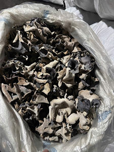 Exportador de Hongo de Oreja Seco Natural de Vietnam, Hongo de Oreja al por Mayor, Hongo Negro de Primera Calidad para Exportación - Product Image 4