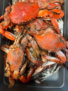 Approvisionnement en gros de crabes royaux rouges vivants surgelés d'origine américaine, 6 kg en carton et sous film plastique, prix de gros - Product Image 2