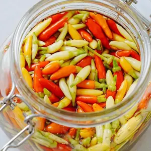 Vente en gros bon marché piment rouge mariné de haute qualité/piment en conserve à vendre - Product Image 1