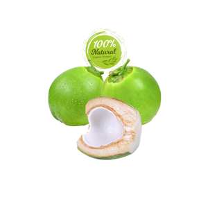 น้ำมะพร้าวสดใหม่สำหรับการฟื้นฟูหลังออกกำลังกายขวดน้ำผลไม้และน้ำผัก - Product Image 2
