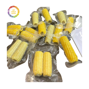 Maíz Dulce Entero Congelado en Espiga, Procesado IQF, Suministro a Granel desde Vietnam - Product Image 2