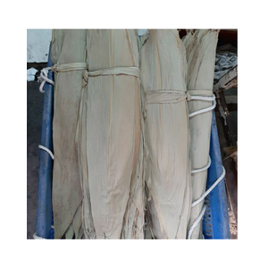 Hoja de bambú seca de gran venta para envolver alimentos Platos de sushi de estilo vietnamita natural de hojas de bambú HOBA secas - Product Image 4