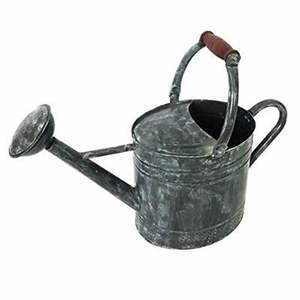 Arrosoir en métal résistant à la chaleur pour les conditions de jardin difficiles, intérieur/extérieur, équipement d'arrosage rustique et fiable - Product Image 2