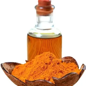 Wholesale Price Organic 95% Curcumin Extract Turmeric Powder Customized Indian Turmeric Powder Supplier In India